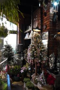 DSC07605-min